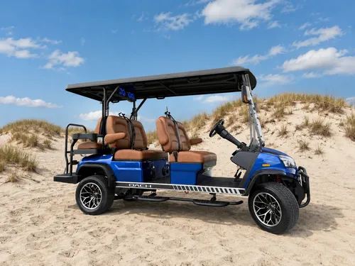 6 Person Cart