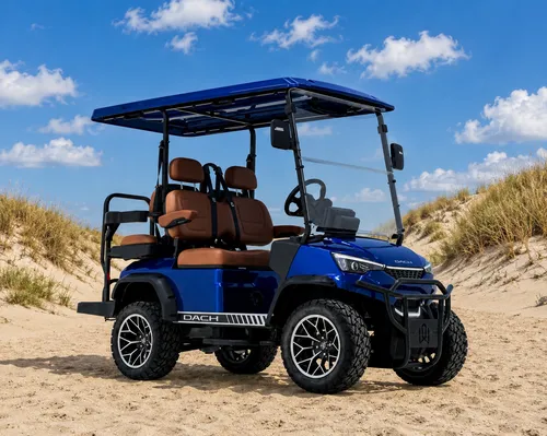 4 Person Carts - Traditional