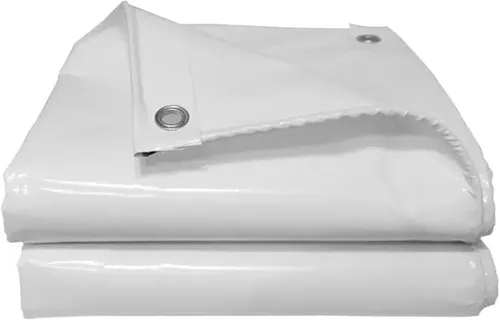 PERTH Projector Screen w/eyelets