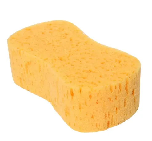 PERTH Sponges