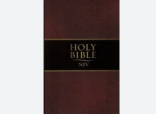 PERTH NIV Holy Bible, Brown