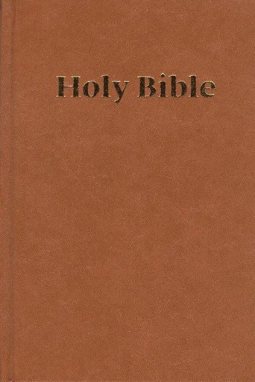 PERTH ERV Bible, Large Print, Brown