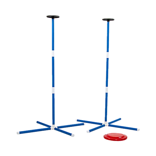 GEO Frisbee Knockoff Game