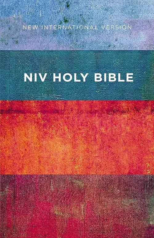 PERTH NIV Holy Bible, Red/Blue Stripes