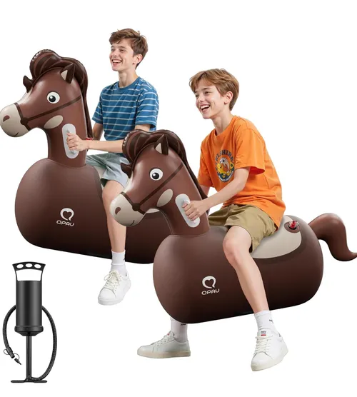 Bouncy Horse