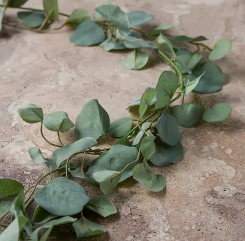 Eucalyptus Garland 