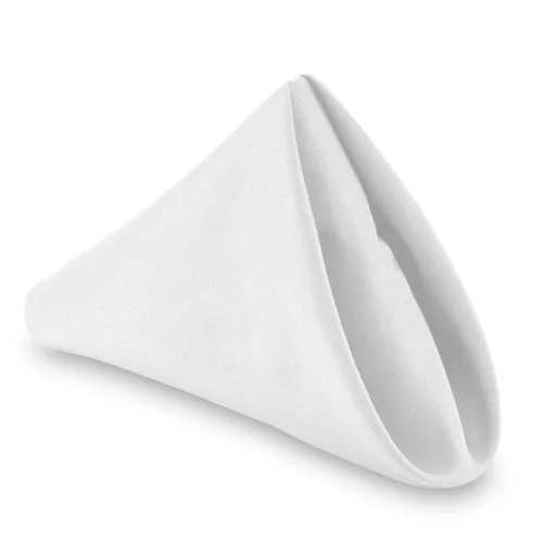 Cloth Napkin