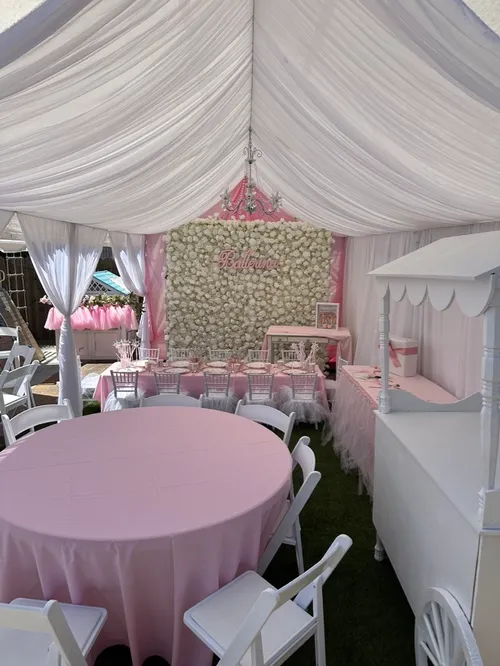 10x20 Canopy With Draping