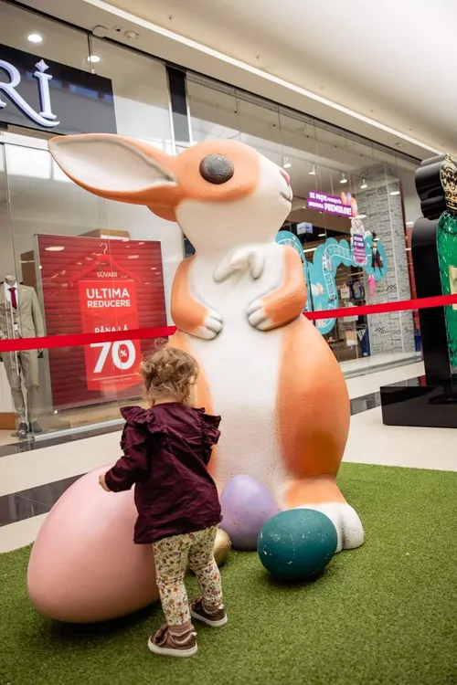 Iepure Maro cu alb 2,2m