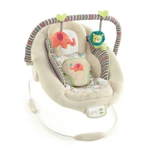 Baby Bouncer - Bright Start Comfort and Harmony 