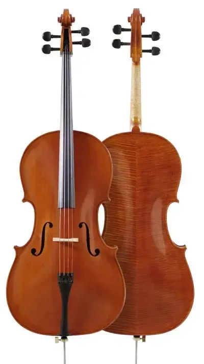 Cello 400 Series-Prominence: 4/4 con Cuerdas Helicore de Tensión Media y Estuche Acojinado Color Negro, Christopher VC401F