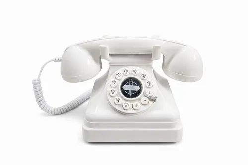 Vintage Style-Audio Guestbook Phone
