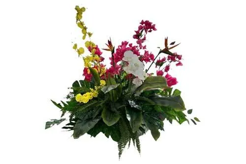 AFR100 Tropical Floor Floral Arrangement