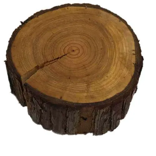 DS061 Serving Log - Bark