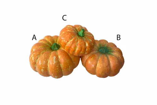 AFP01 Pumpkin