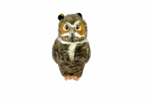 KDDT21 Owl