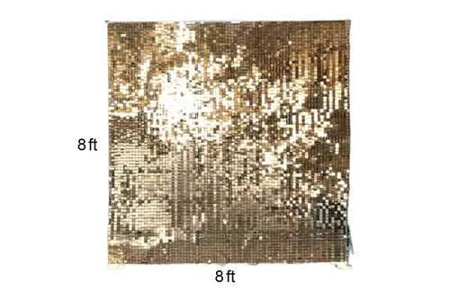BG010 Backdrop - Sequined