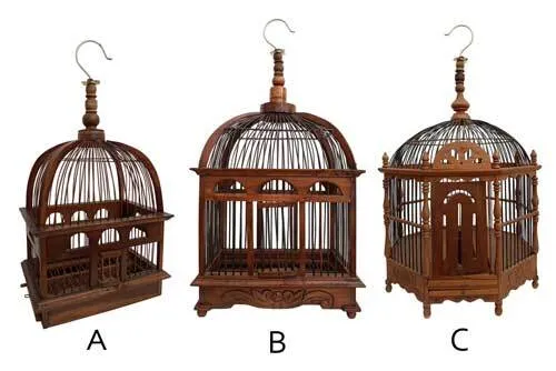 SB11 Bird Cage - European 