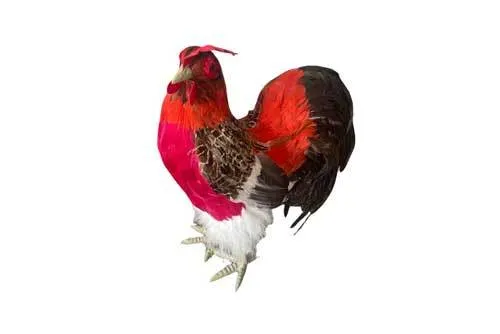 PRP06 Rooster