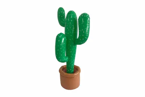 PCT01 Cactus - Inflatable