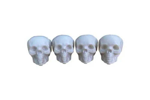 PRSK021 Skull - Mini