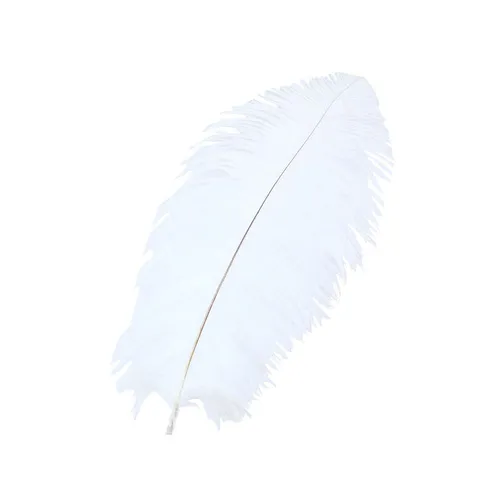 FL012 Feathers - White 14 Inch