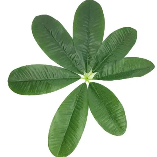 AFL142 Leaves - Plumeria Tropical
