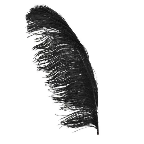 FL014 Feathers - Black 23 inch