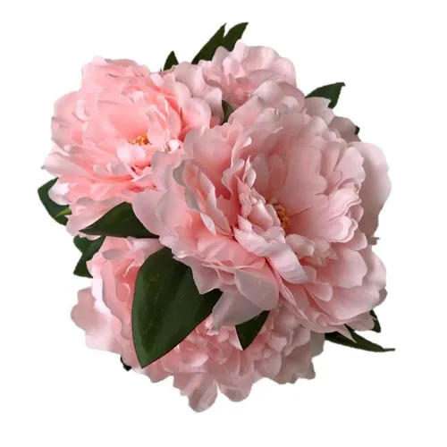 AF101 Peony Bush - Pink Large