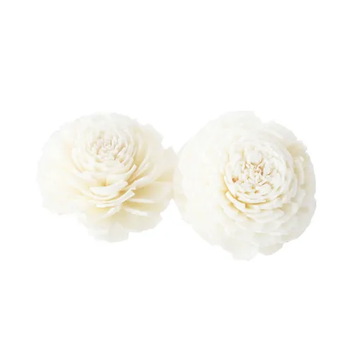 PC01 Paper Carnations - Off white 