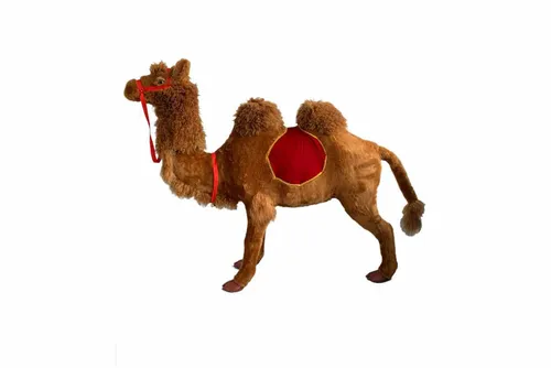 KDDT23 Camel