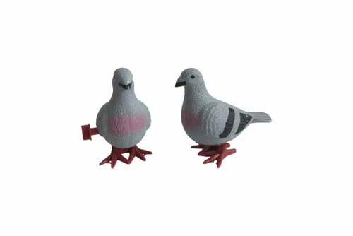 PRP02 - Pigeon