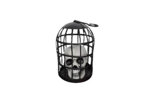 PRSK041 Skull in Cage