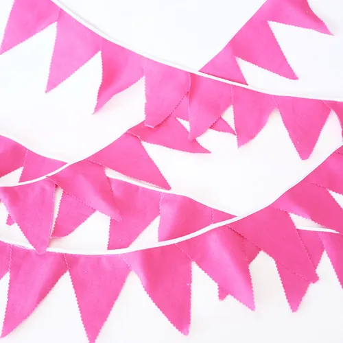 BT05 Bunting - Plain Fuschia