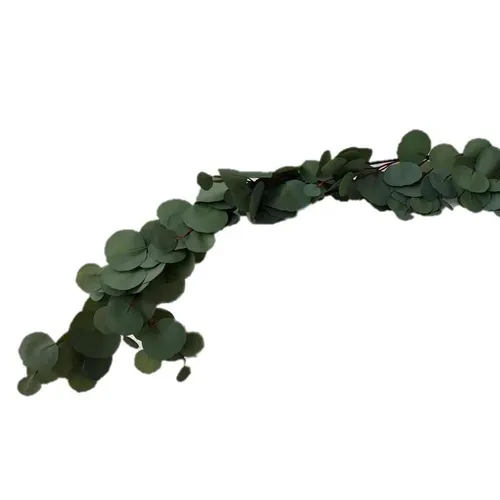 AF098 Eucalyptus Garland - Premium Silver Dollar