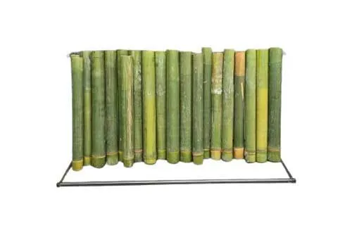 VTT04 - Buluh Lemang