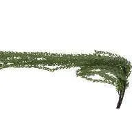 AF093 Falling Leaves