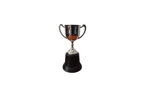 TRP04 Trophy - Mini