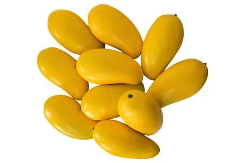 AFT05 Tropical Fruits - Mango