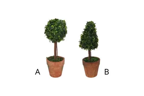 AFTR112 Tree - Potted