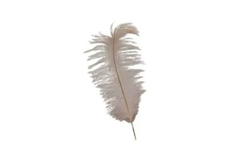 FL019 Feathers - Light Pink 18 inch