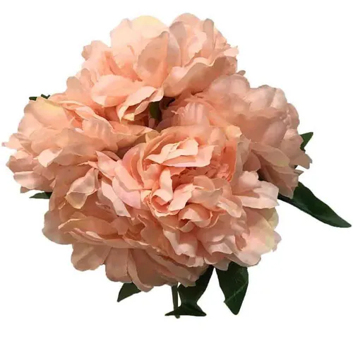 AF109 Peony Bush - Blush Pink