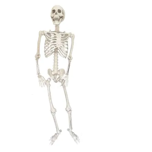 PRSK01 Skeleton - Full Body