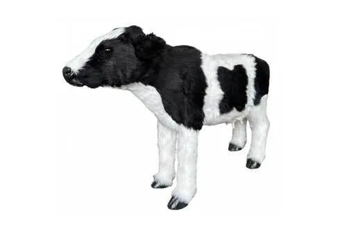 KDDT261 Cow