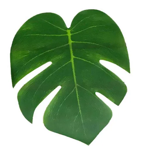 AF21 Palm Leaves - 8 inch 