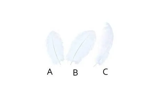 FL010 Feathers - White (Assorted)