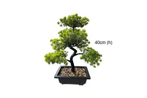 AFTR126 Tree - Bonsai
