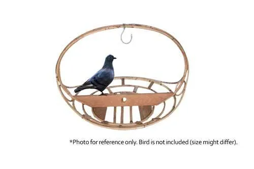 SB09 Bird Cage - Wooden