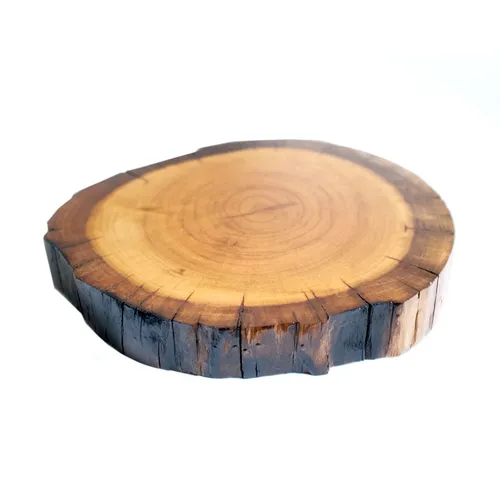 DS042 Serving Log - Sleek Large 2 inch