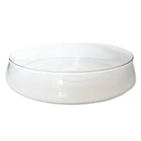 GW161 Glass Bowl 